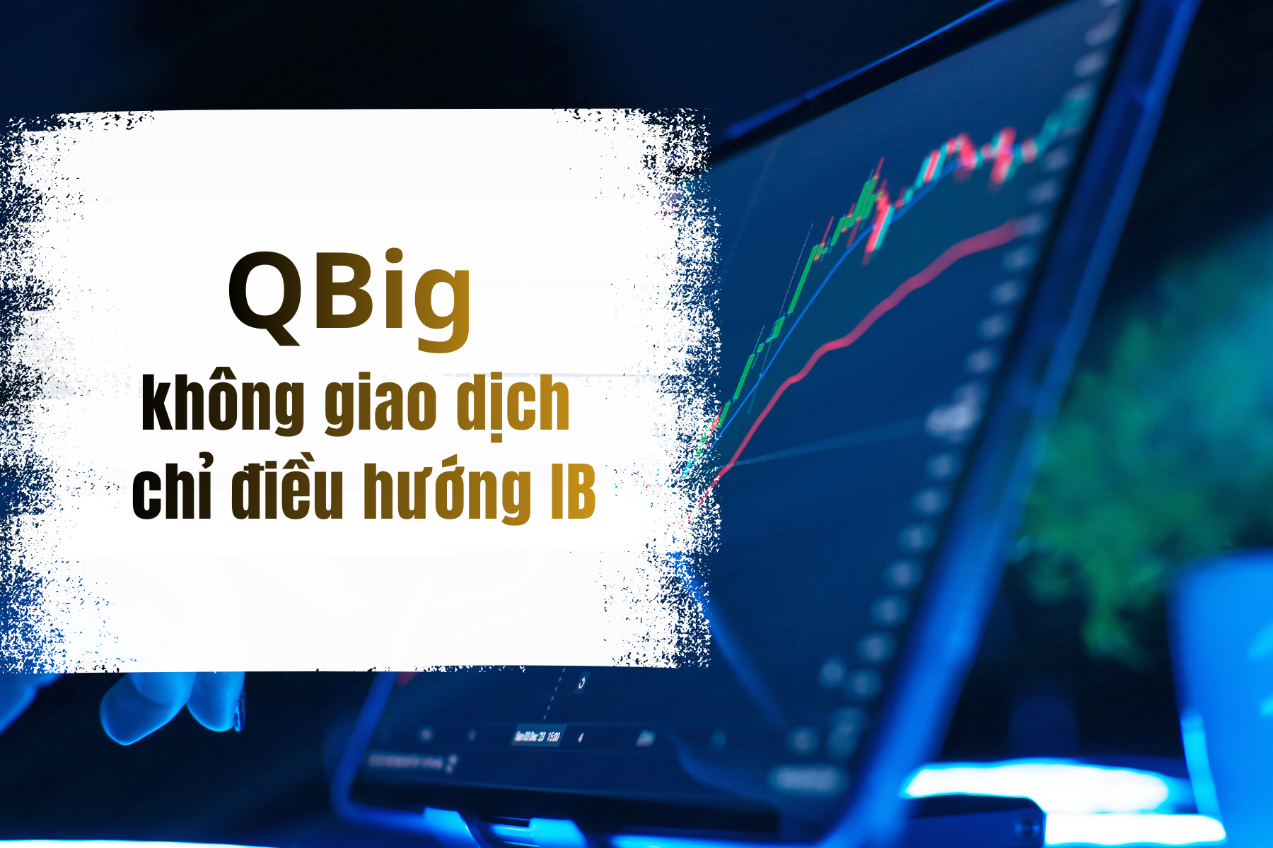 QBig Invest thực chất không phải sàn giao dịch, cho rút tiền như sàn forex khác