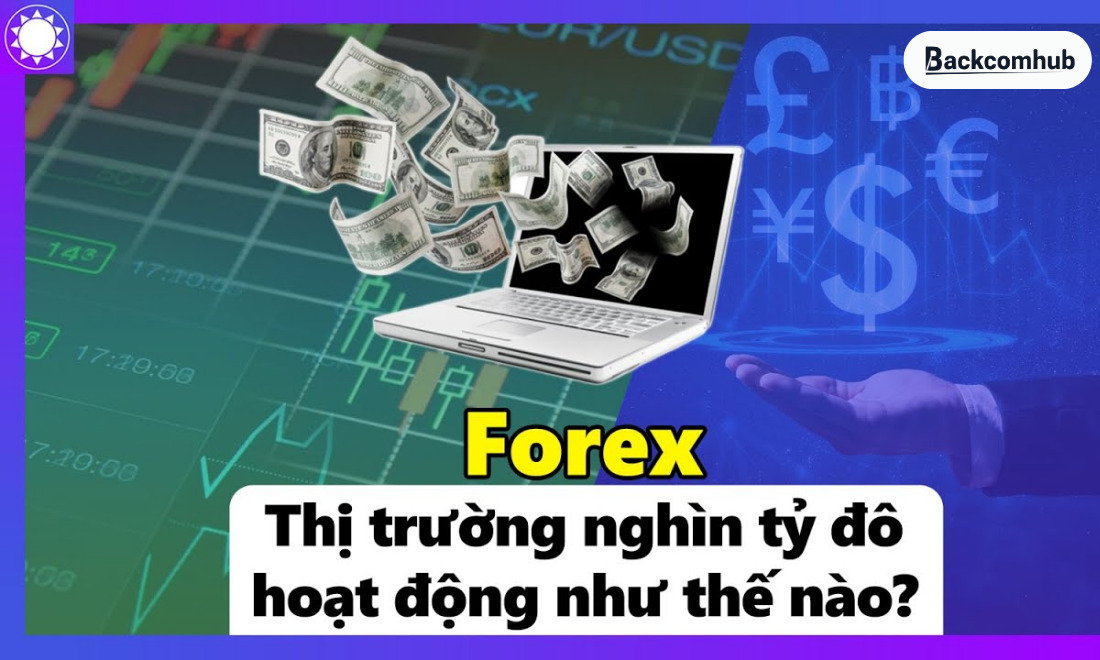 Thị trường forex hoạt động như thế nào?