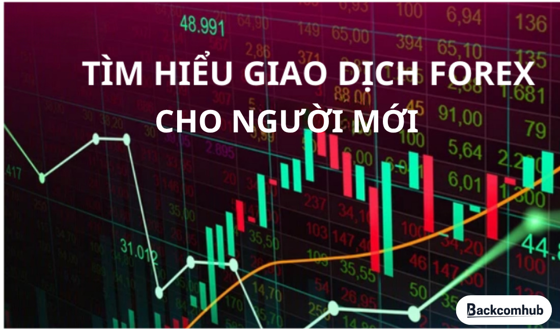 Người mới nên bắt đầu tìm hiểu thị trường Forex như thế nào?