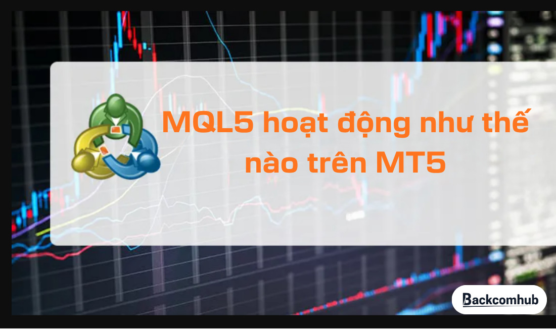 MQL5 hoạt động như thế nào trên MT5