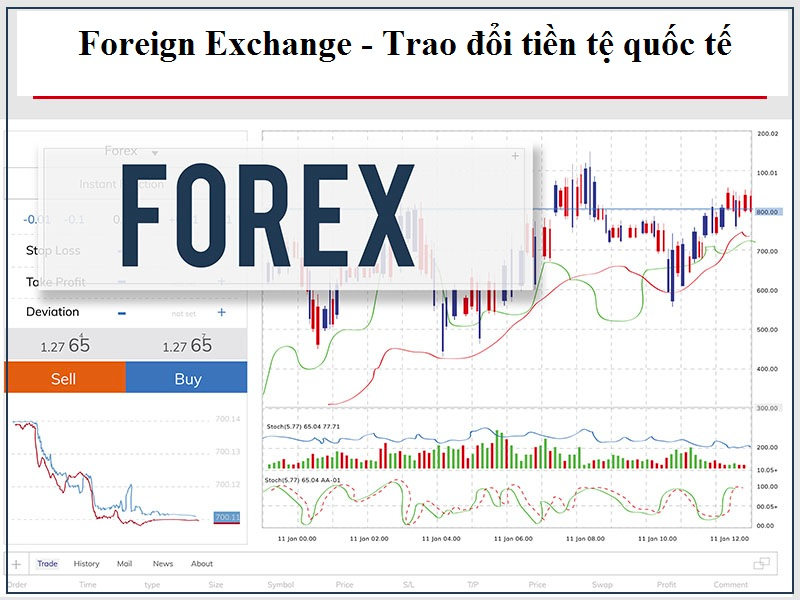 Bản chất của thị trường Forex là gì? Hiểu đúng để không trade như “đánh bạc” Bản chất của thị trường Forex là gì? Hiểu đúng để không trade như “đánh bạc”