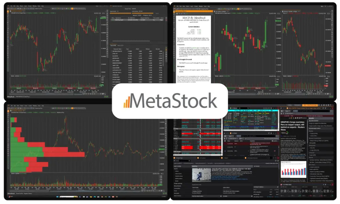 Phần mềm theo dõi chứng khoán trên máy tính MetaStock 