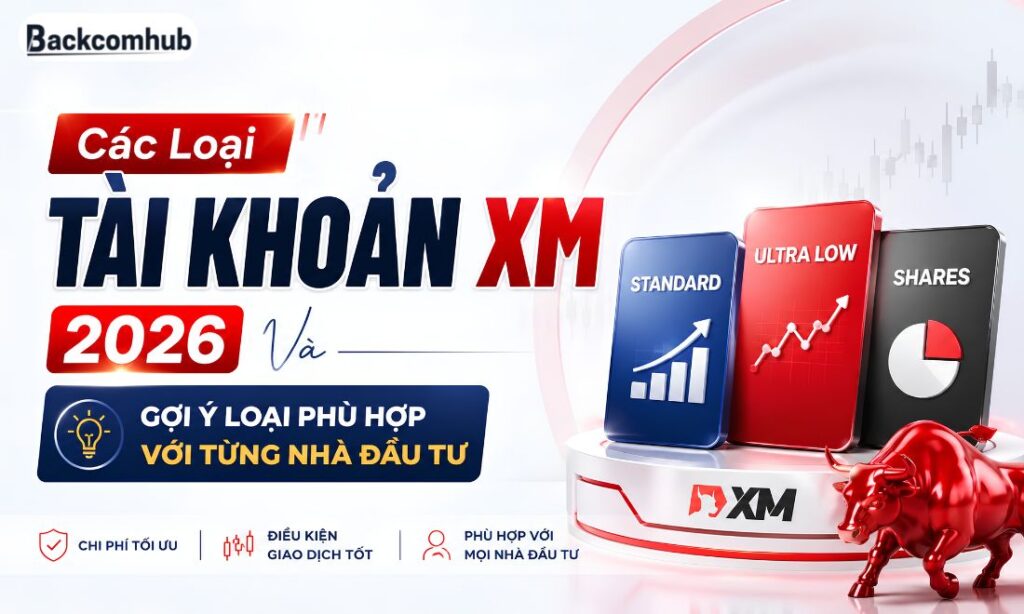 Các Loại Tài Khoản XM 2026 Và Gợi Ý Loại Phù Hợp Với Từng Nhà Đầu Tư