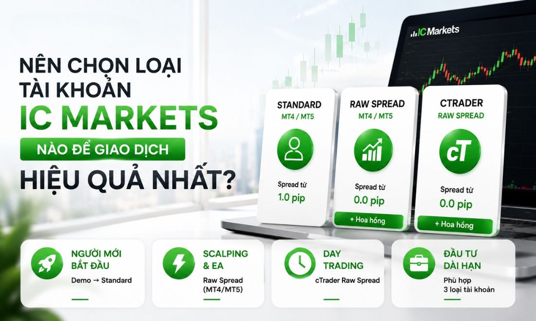 Gợi ý giúp trader lựa chọn được loại tài khoản phù hợp trên sàn ic markets 