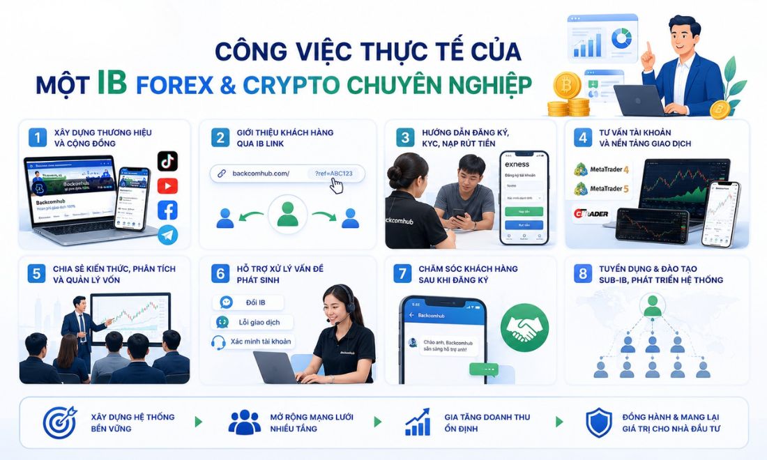 Những nhiệm vụ mà IB phải làm trong thực tế