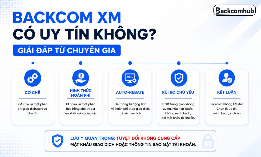 Backcom XM là chương trình uy tín và các nhà đầu tư nên tham gia 