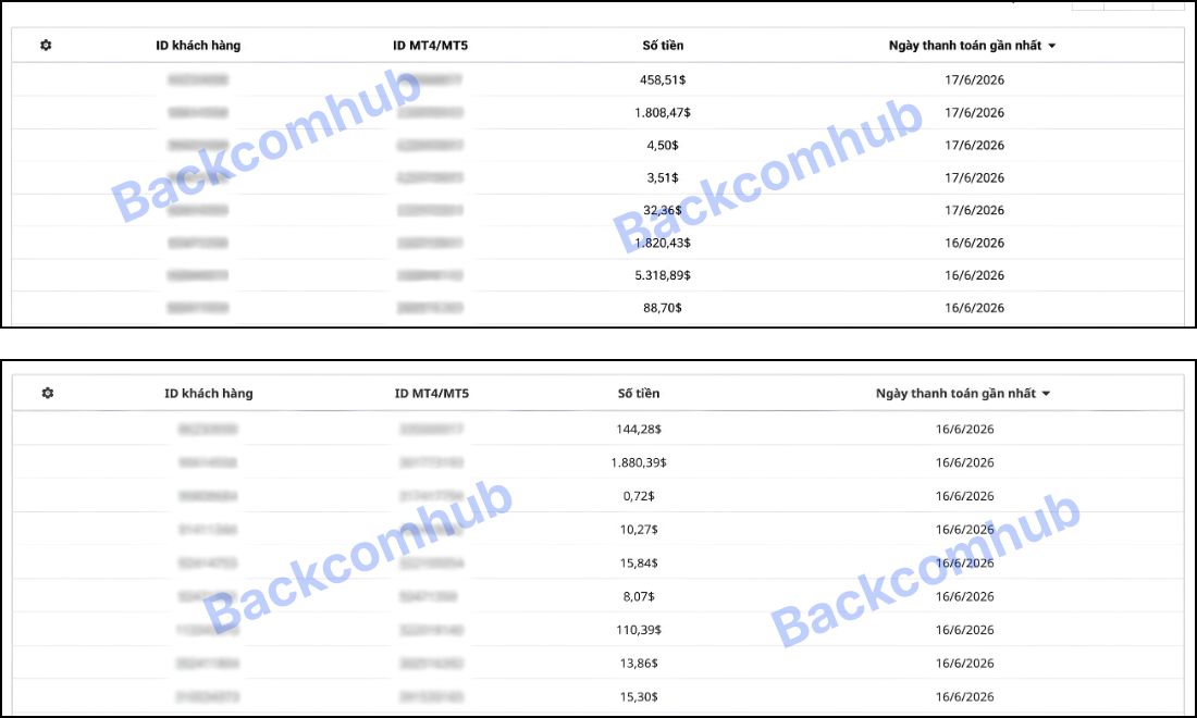 Backcomhub cập nhật ảnh hoàn phí giao dịch cho khách hàng trên cả sàn Binance lẫn các sàn crypto và forex khác vào thứ bảy hàng tuần trên website của mình