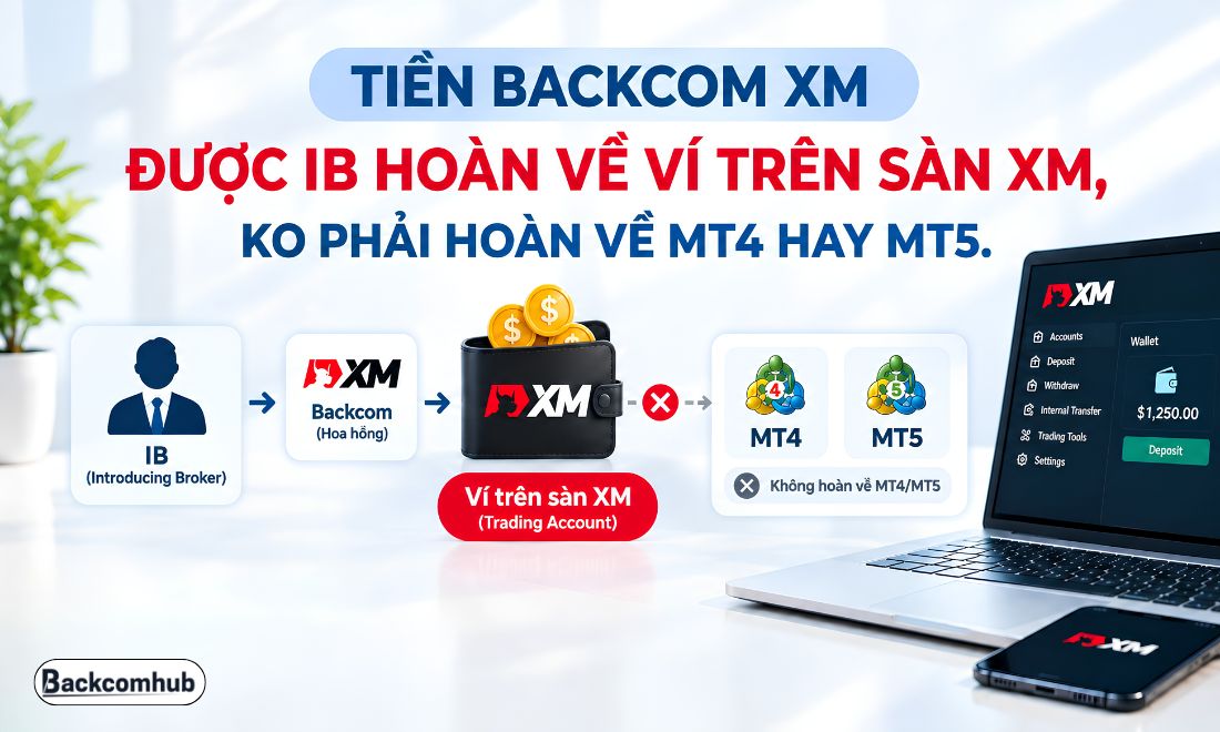 Tiền backcom mà trader được nhận lại từ IB sau khi giao dịch trên XM sẽ được hoàn trực tiếp về ví trên sàn XM 